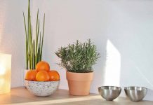 My work only allows Internet Explorer, so I have to manually