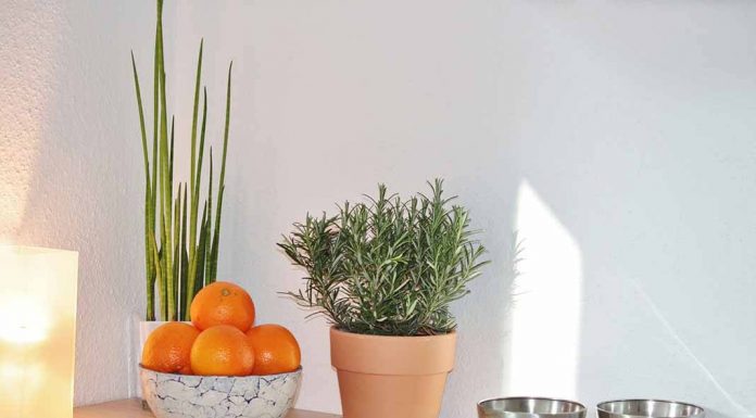 My work only allows Internet Explorer, so I have to manually